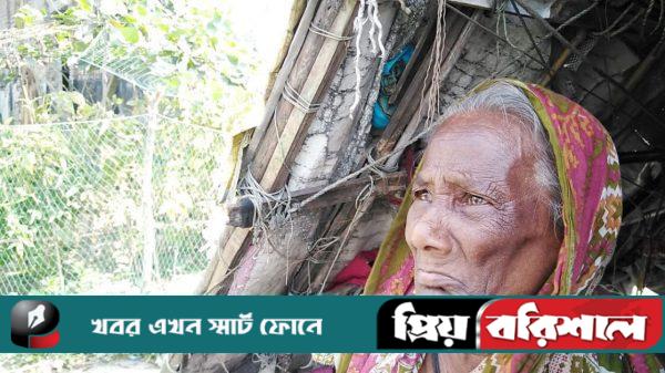 নিঃস্ব আয়েশার ঠিকানা তবে কোথায়?