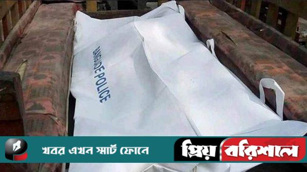 ভান্ডারিয়ায় অটোরিকশা-ট্রলির সংঘর্ষে বৃদ্ধ নিহত