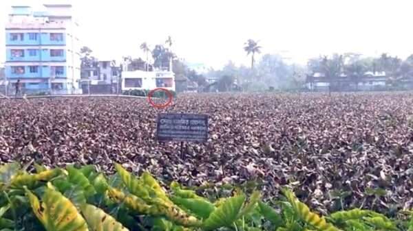 ড্রেজার দিয়ে বালু ভরাট