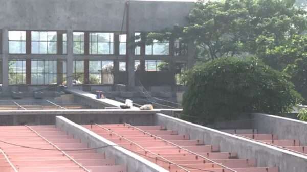 বিবিসি পানি