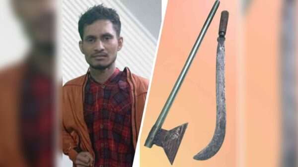 দেশি অস্ত্র